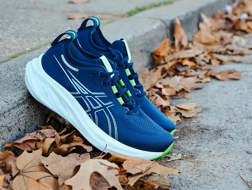 Pair of ASICS Nimbus up against a wall with leaves under it