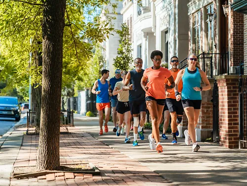 A group of runners run down a tree-lined street in Chicago.