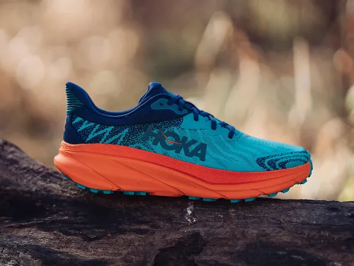 A HOKA Challenger ATR 7 shoe sits on a tree limb.