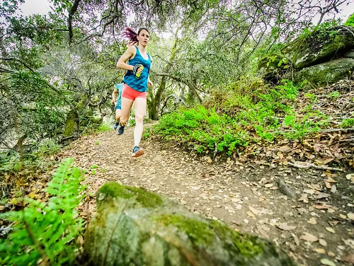 Two people on a trail run through the woods