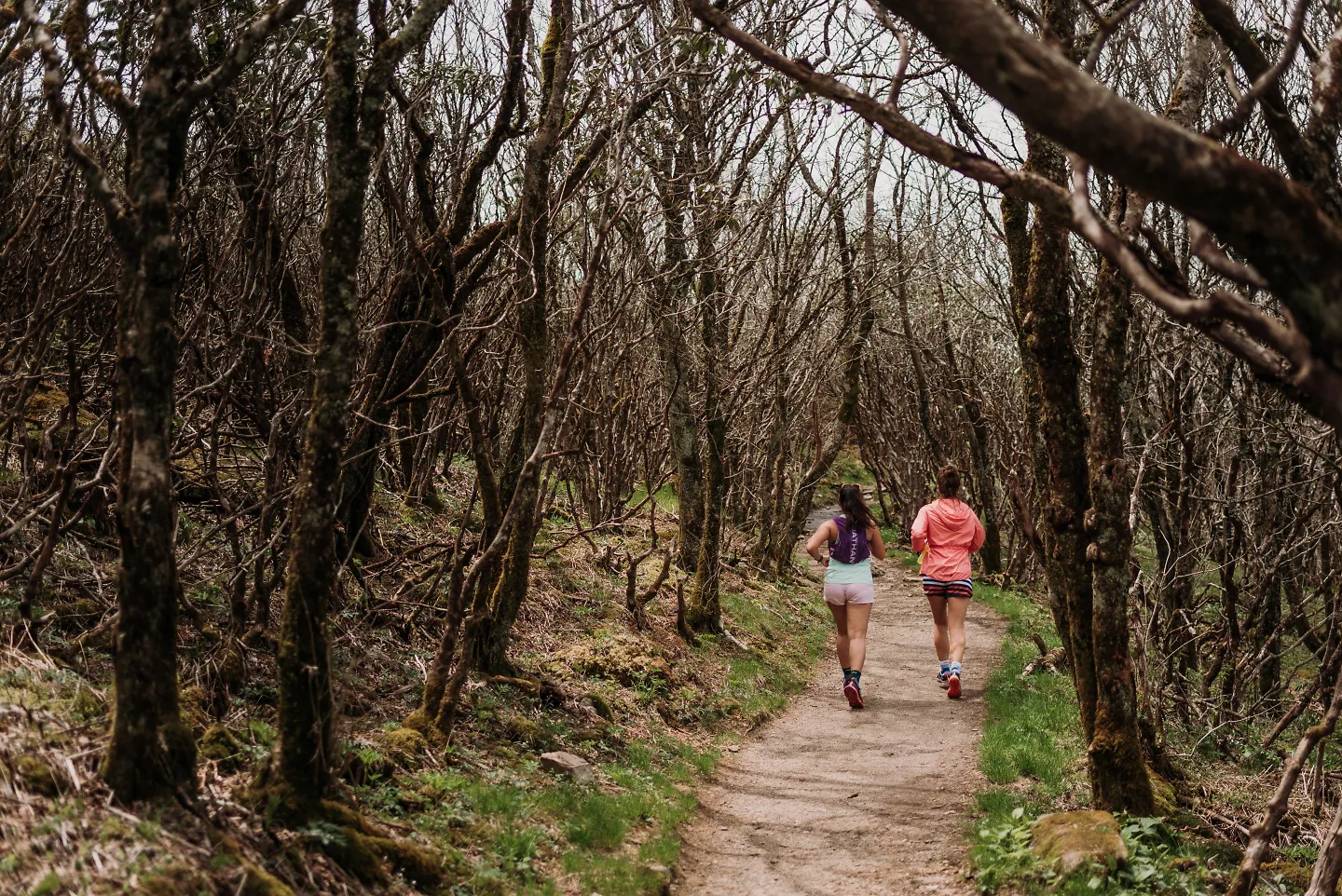 Two women run on a tree lined trail.