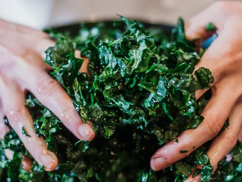 Hands prepare a kale salad
