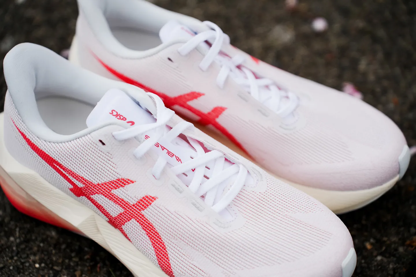 The ASICS Novablast 6