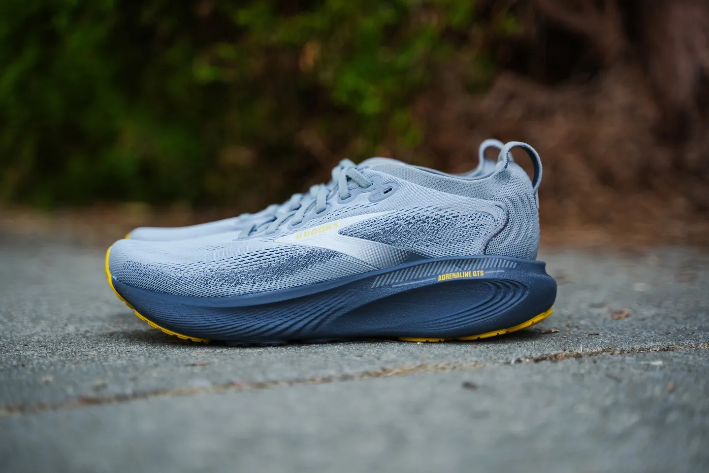 The Brooks Adrenaline GTS 25. 