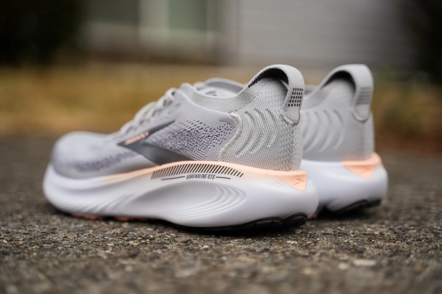 The Brooks Adrenaline GTS 25. 