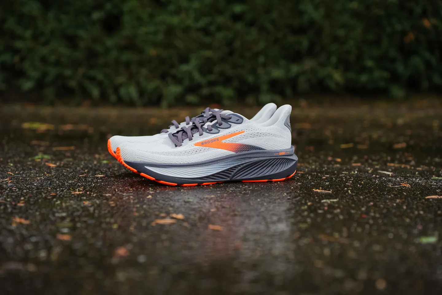 The Brooks Ghost 17.