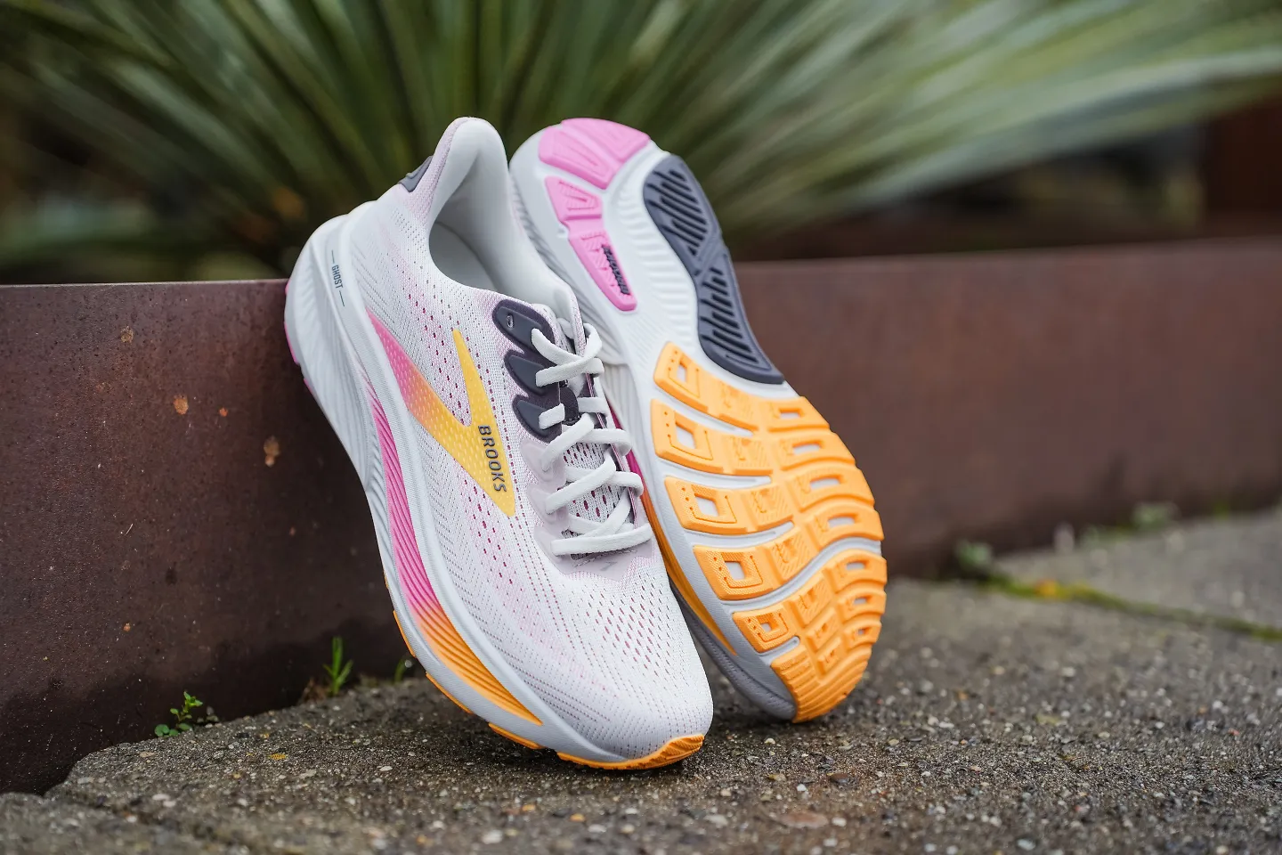 The Brooks Ghost 17. 