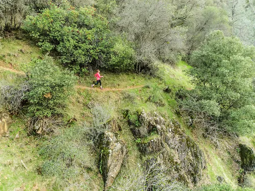 A woman runs alone on an exposed trail surrounded by greenery 