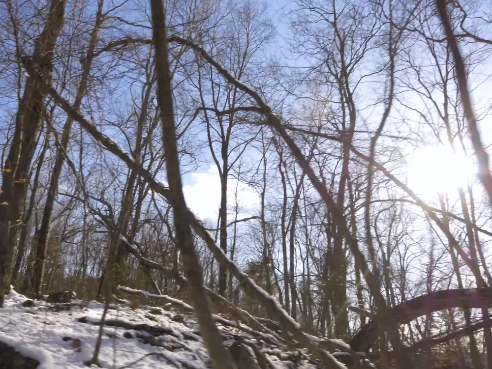 A sunny winter sky