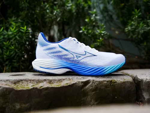 The Mizuno Wave Rider 28. 
