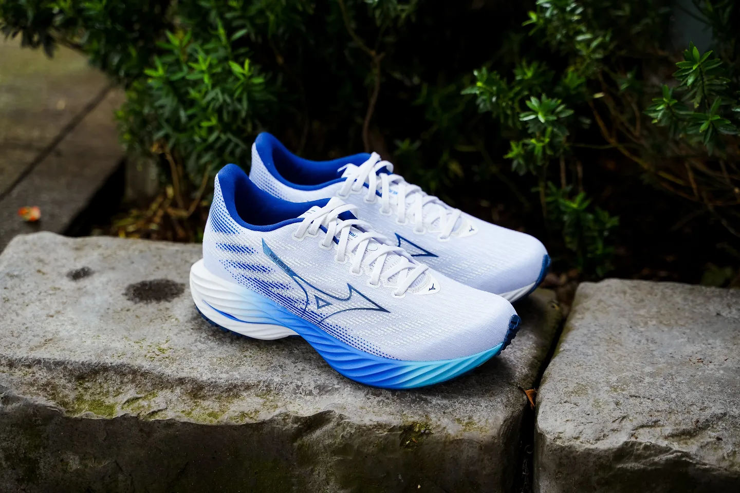 The Mizuno Wave Rider 28.