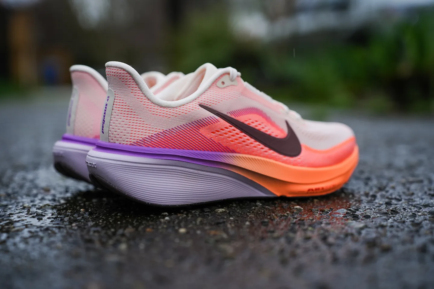 The Nike Pegasus 42