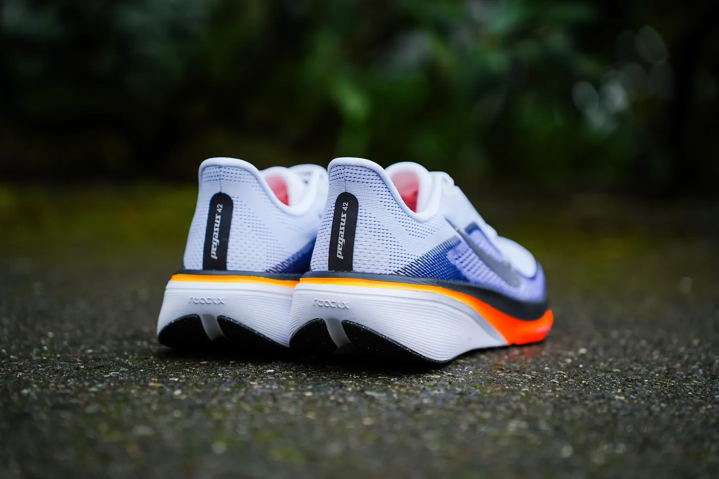 The Nike Pegasus 42