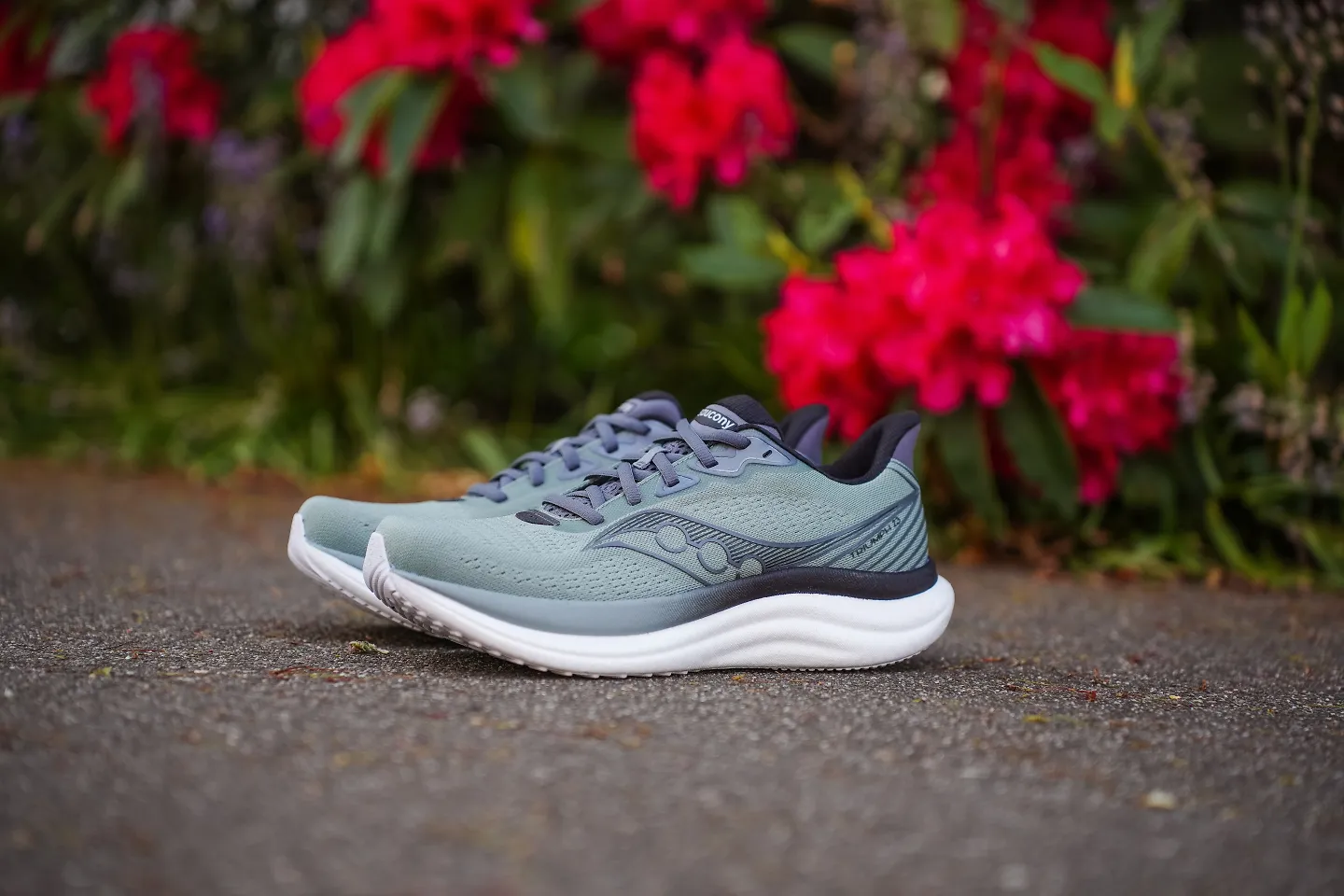 The Saucony Triumph 23