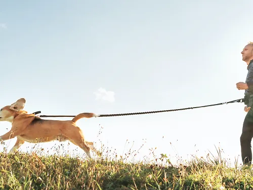 A man runs with his dog on a leash